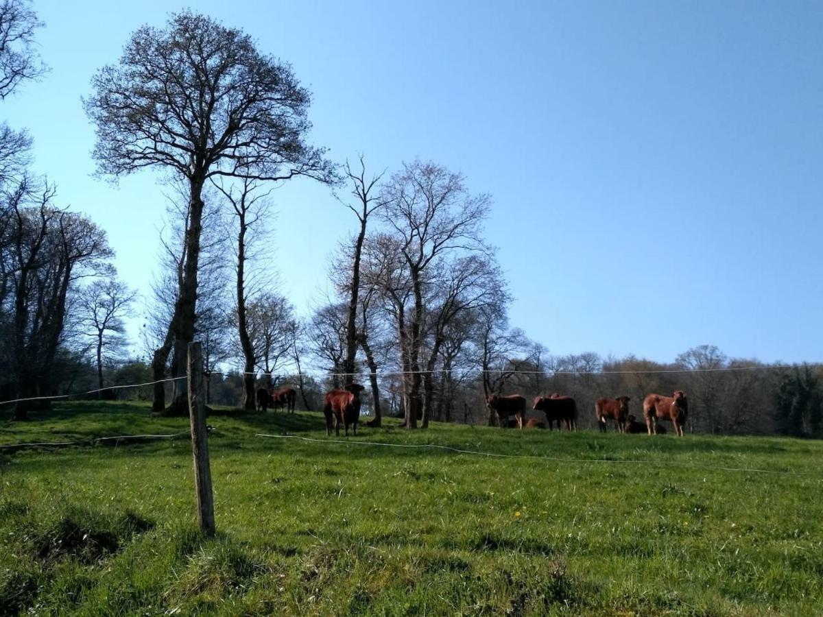 Gite Le Valet, T2 Classe 3 Etoiles, Entre Rennes Et Saint-Malo La Chapelle-aux-Filzméens المظهر الخارجي الصورة